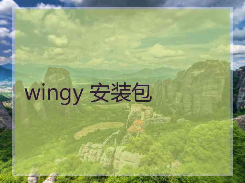 wingy 安装包