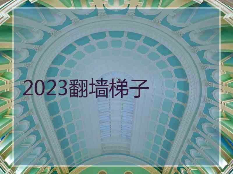 2023翻墙梯子