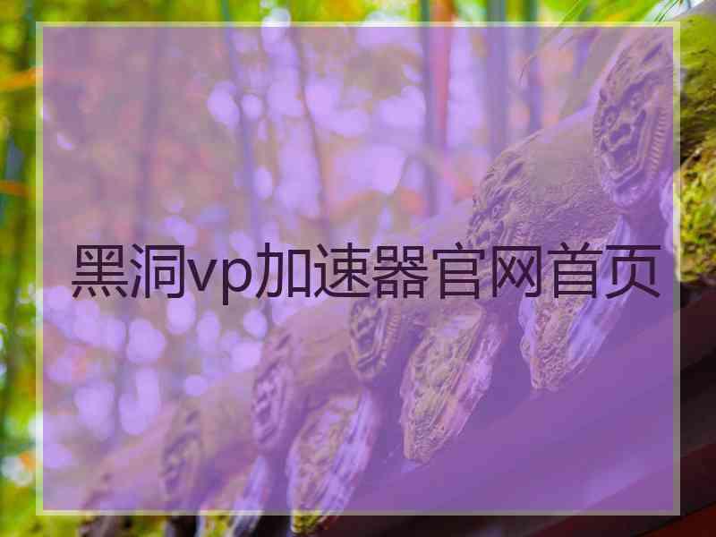 黑洞vp加速器官网首页