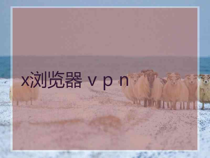 x浏览器 v p n