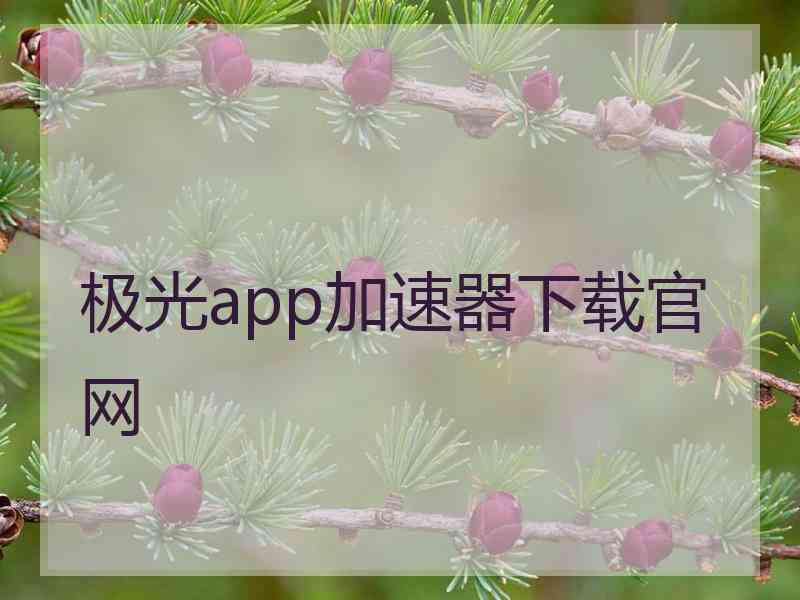 极光app加速器下载官网